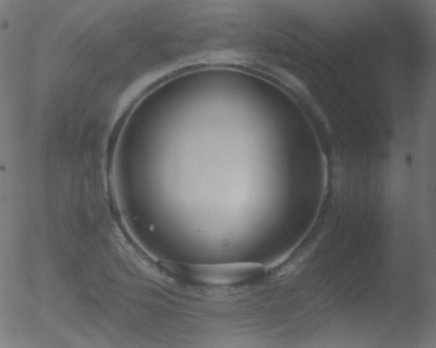 X0000052551176200507011123