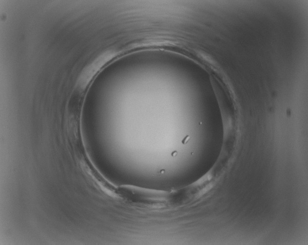 X0000052551177200507011123