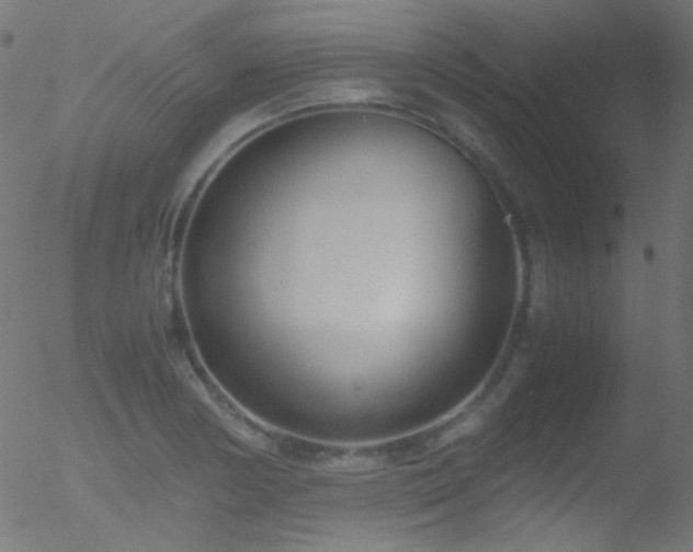 X0000052551178200507011123