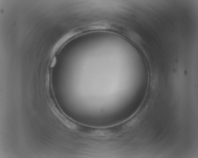 X0000052551179200507011123