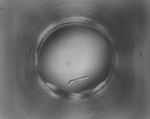 X0000052551180200507011123