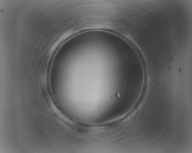 X0000052551181200507011123