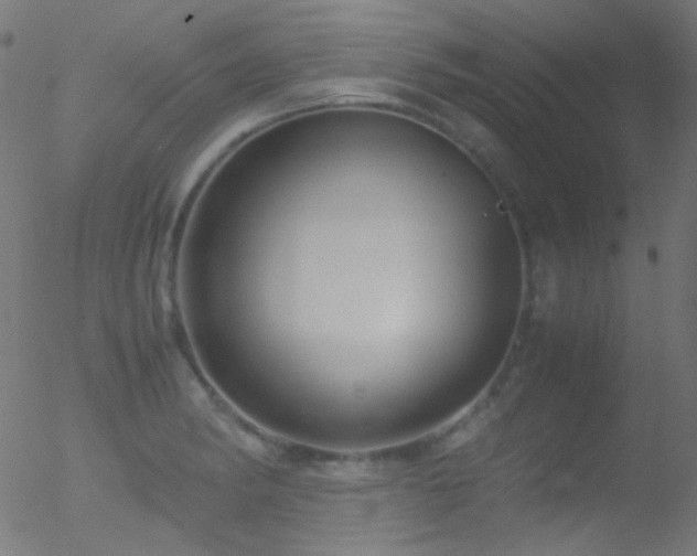 X0000052551182200507011123