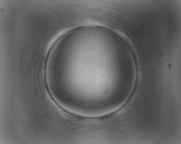 X0000052551183200507011123