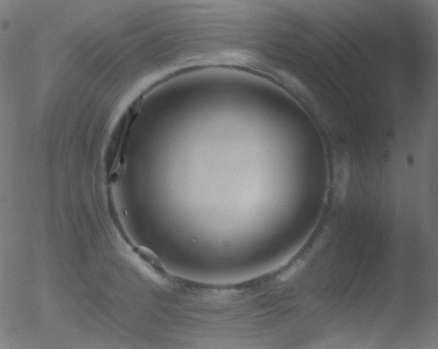 X0000052551184200507011123