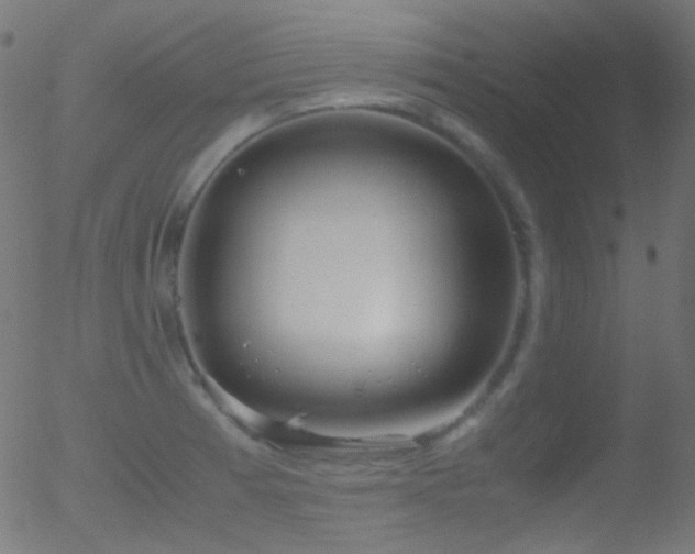 X0000052551185200507011123