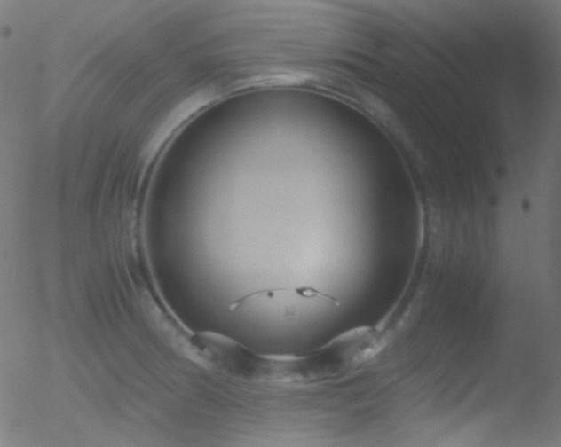 X0000052551186200507011123