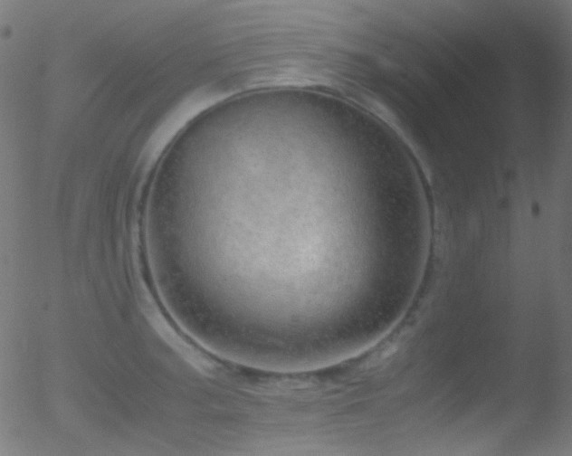 X0000052551187200507011123