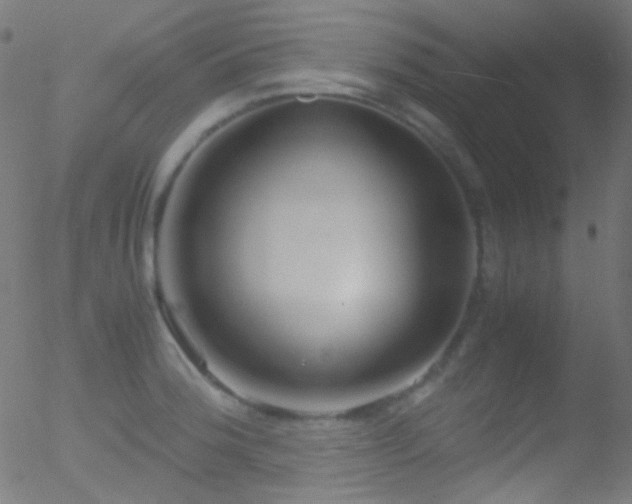 X0000052551188200507011123