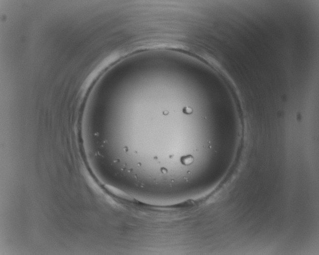 X0000052551189200507011122