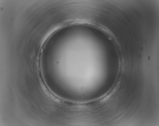 X0000052551190200507011122