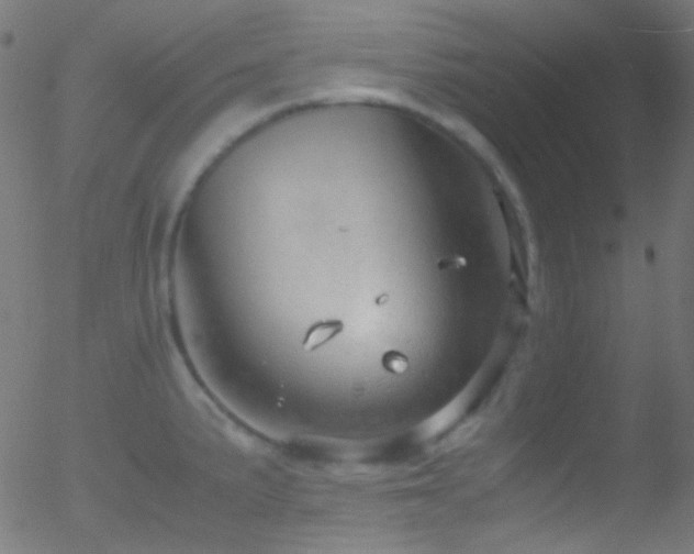 X0000052551191200507011122