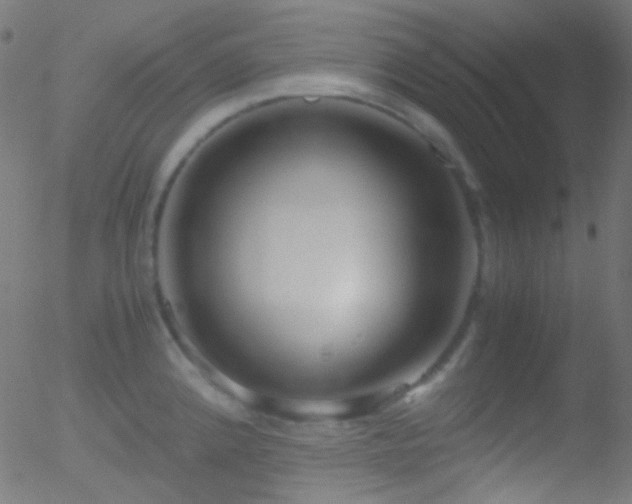 X0000052551192200507011122