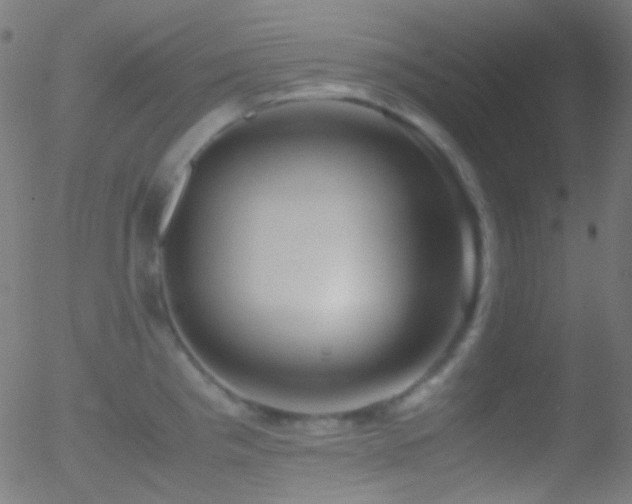 X0000052551193200507011122