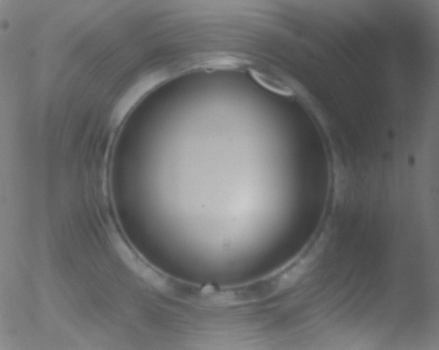 X0000052551194200507011122