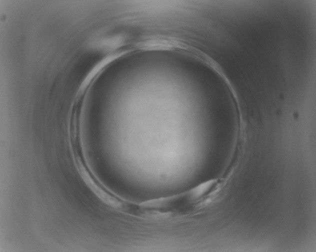 X0000052551195200507011122