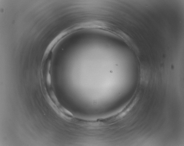 X0000052551196200507011122