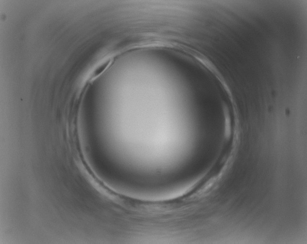 X0000052551197200507011122