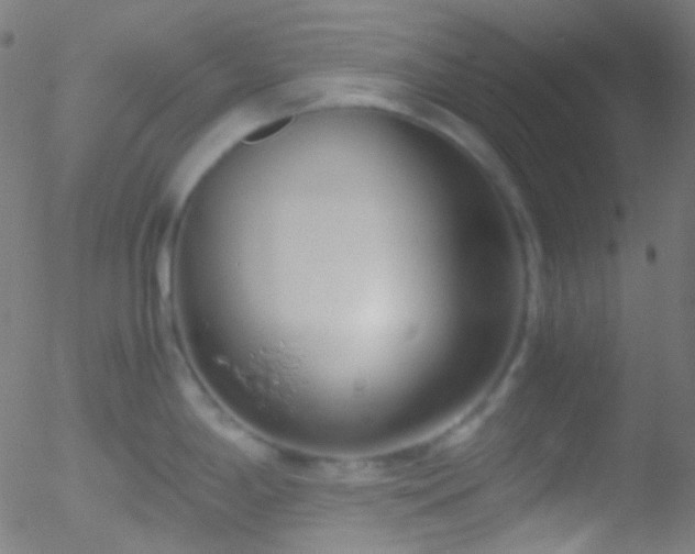 X0000052551198200507011122