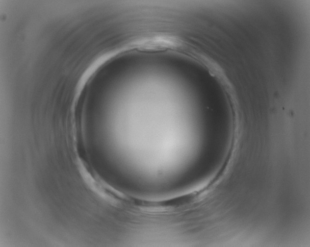 X0000052551200200507011122