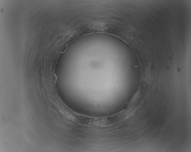 X0000052551201200507011122