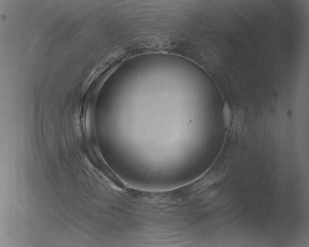 X0000052551202200507011122