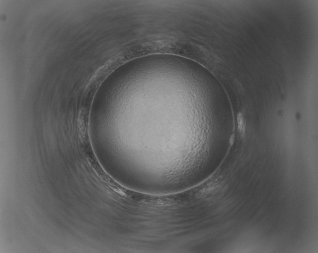 X0000052551203200507011122