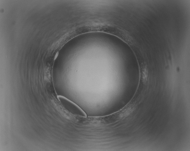 X0000052551204200507011122