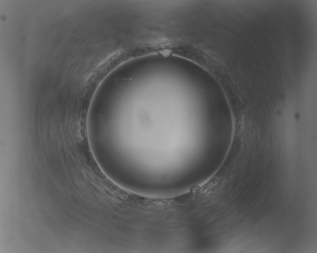 X0000052551205200507011122