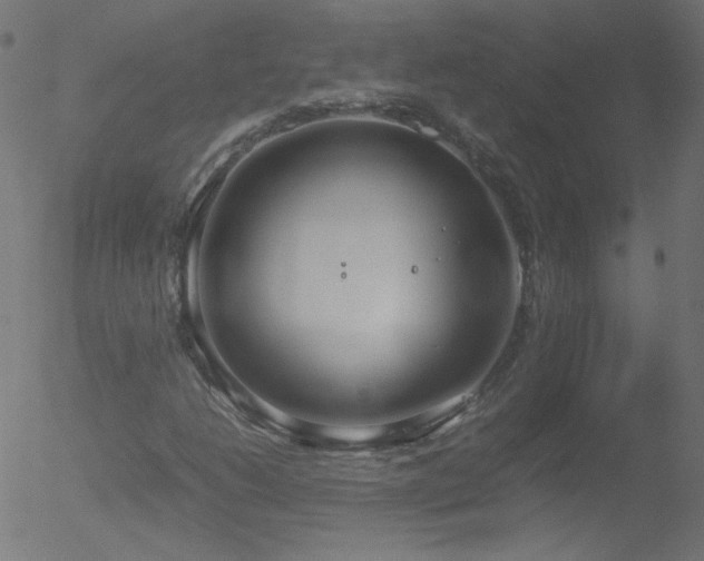 X0000052551206200507011122