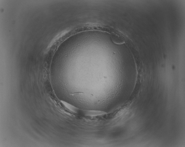 X0000052551207200507011122