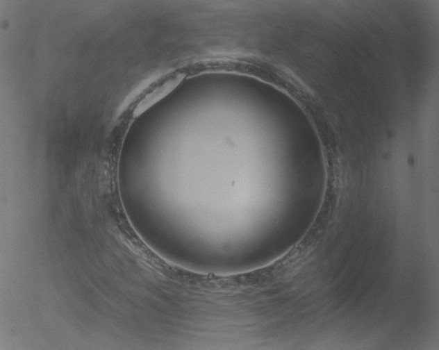 X0000052551208200507011122