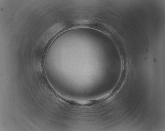 X0000052551209200507011122