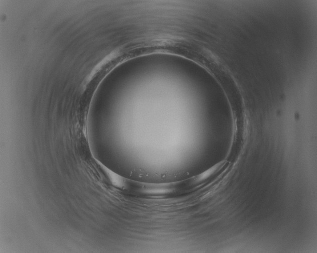 X0000052551210200507011122