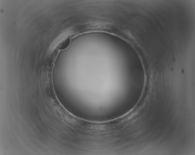 X0000052551211200507011122