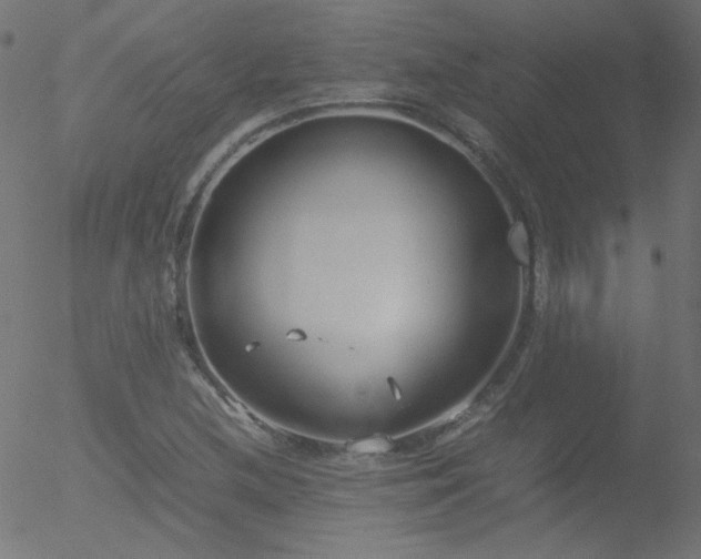 X0000052551212200507011122