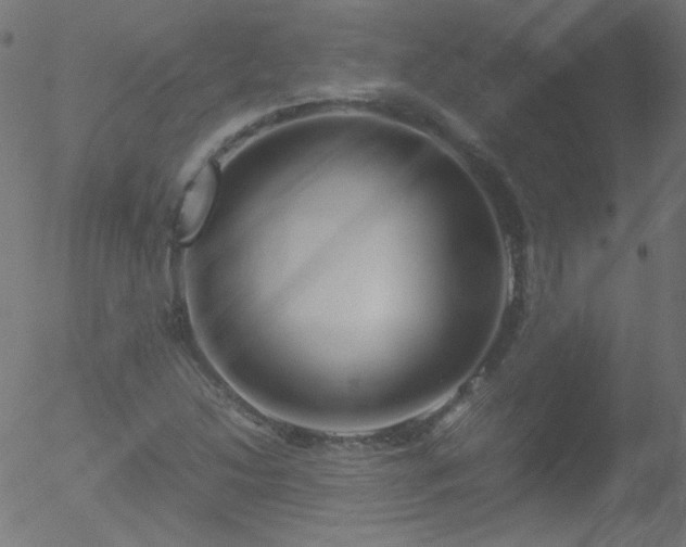 X0000052551214200507011122