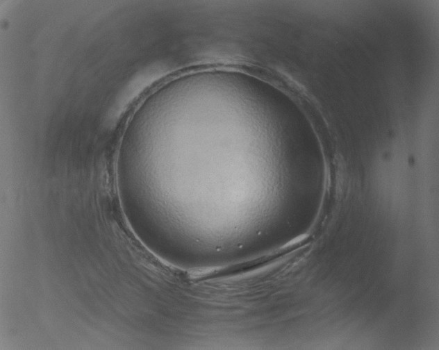 X0000052551215200507011122