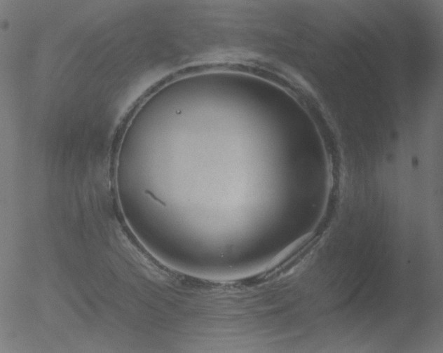 X0000052551216200507011122