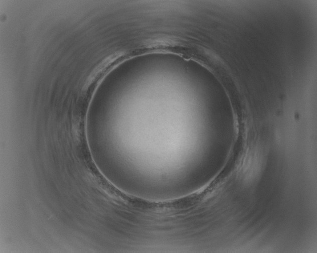 X0000052551217200507011122