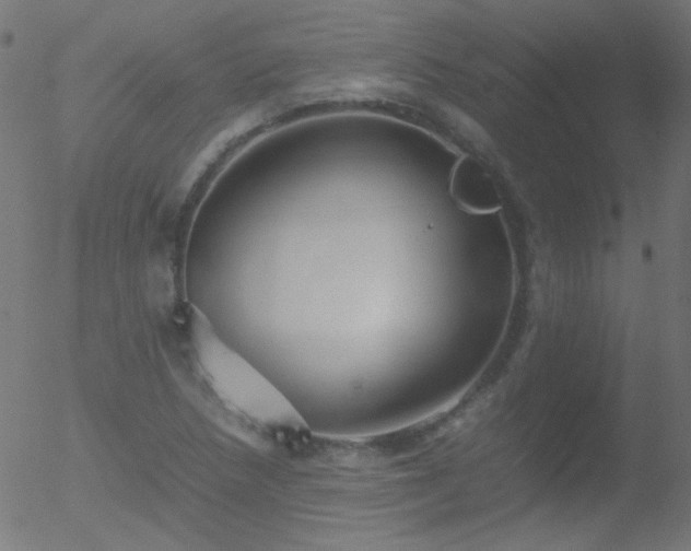 X0000052551218200507011122