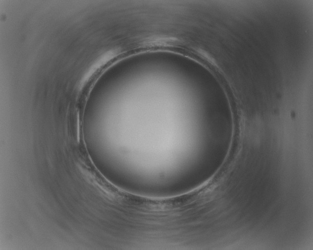 X0000052551219200507011122