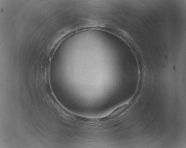 X0000052551220200507011122