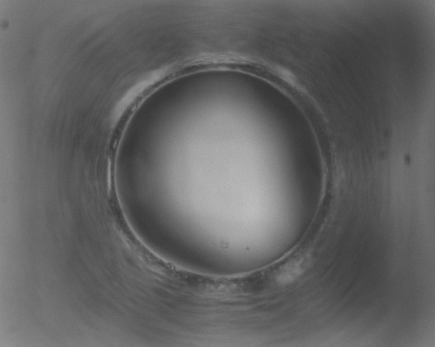 X0000052551221200507011122