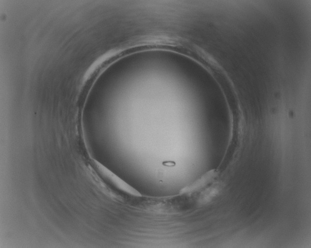 X0000052551222200507011122