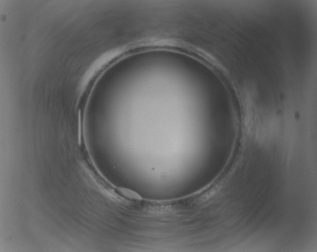 X0000052551223200507011122