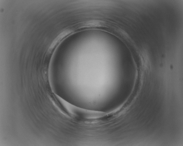 X0000052551225200507011122