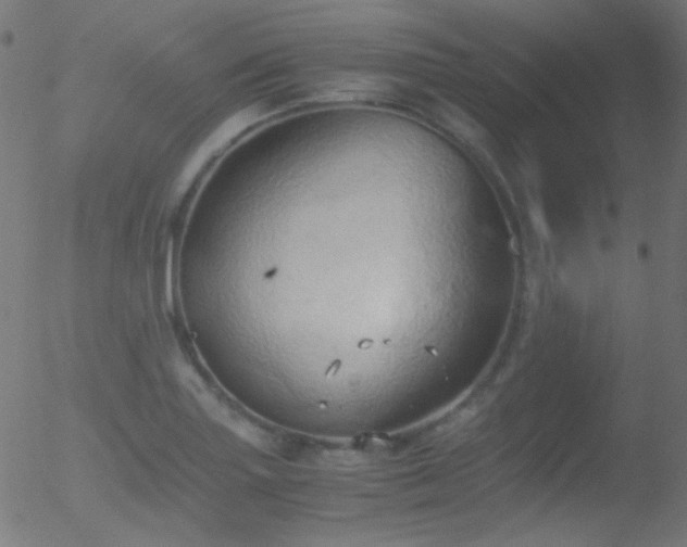 X0000052551227200507011122