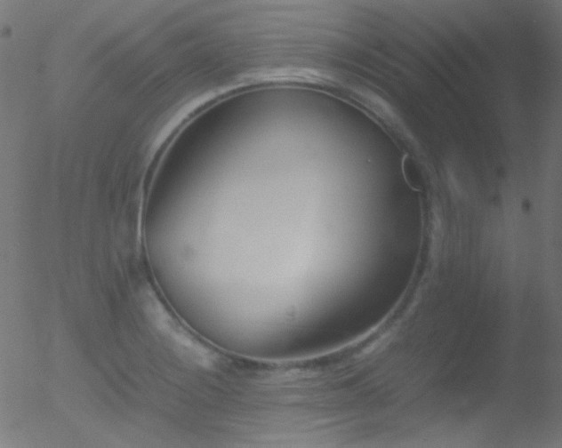 X0000052551228200507011122