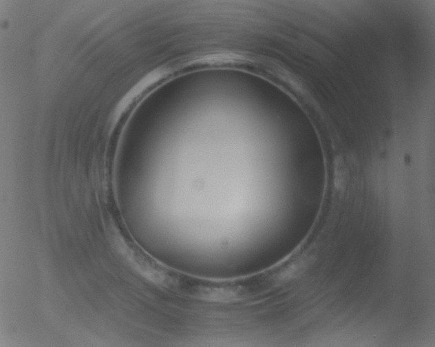 X0000052551229200507011122